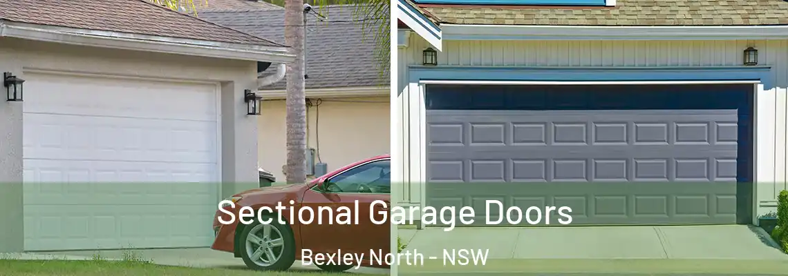  Sectional Garage Doors Bexley North - NSW