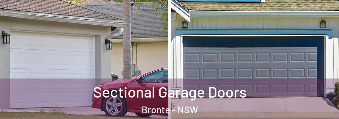  Sectional Garage Doors Bronte - NSW