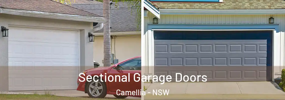  Sectional Garage Doors Camellia - NSW