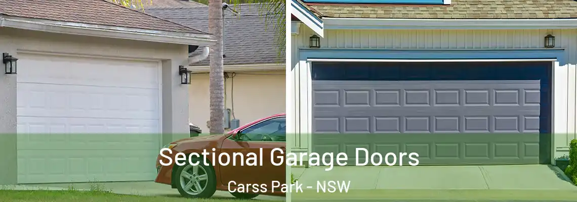  Sectional Garage Doors Carss Park - NSW