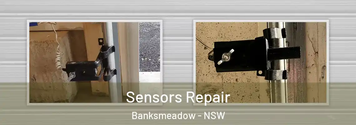  Sensors Repair Banksmeadow - NSW
