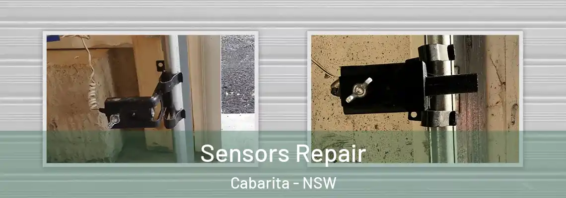  Sensors Repair Cabarita - NSW