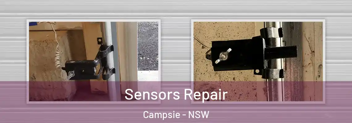  Sensors Repair Campsie - NSW