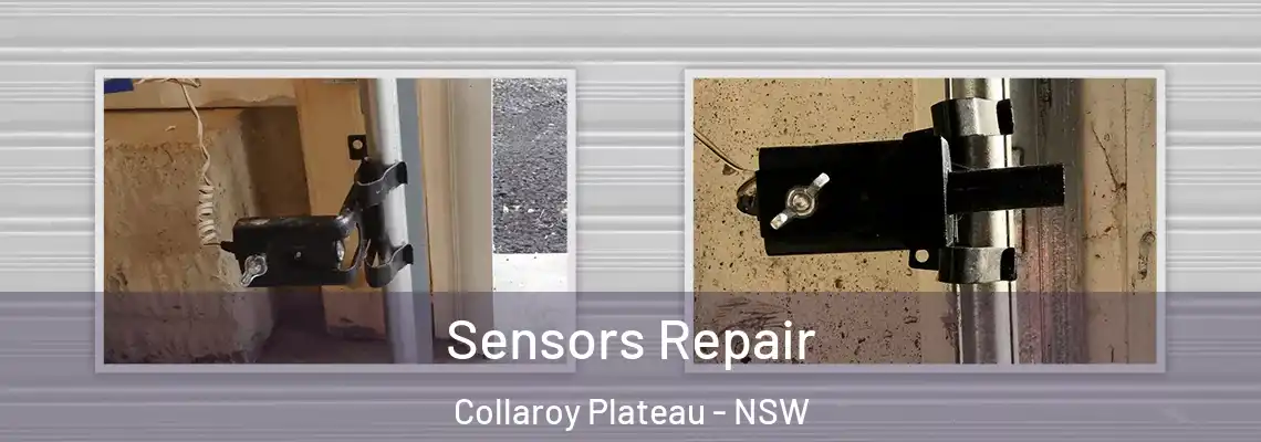  Sensors Repair Collaroy Plateau - NSW