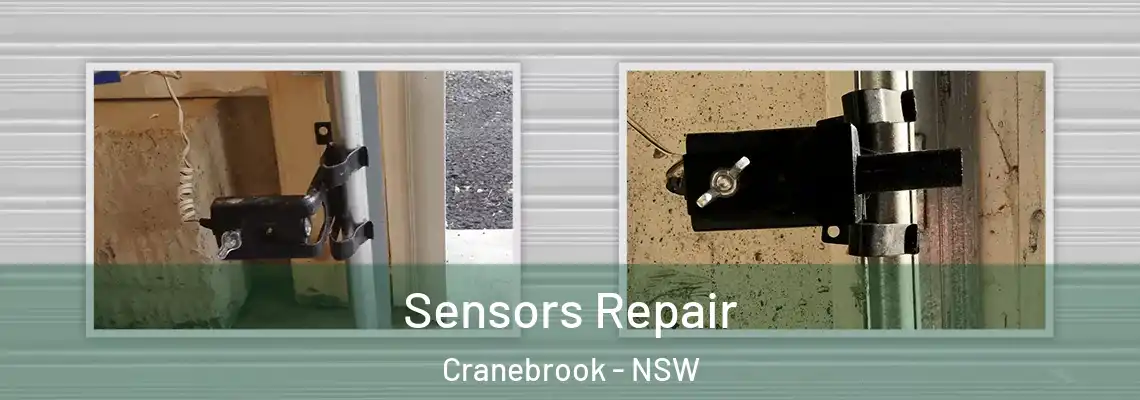  Sensors Repair Cranebrook - NSW