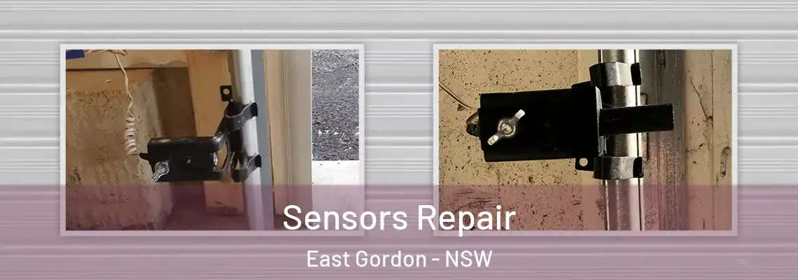  Sensors Repair East Gordon - NSW